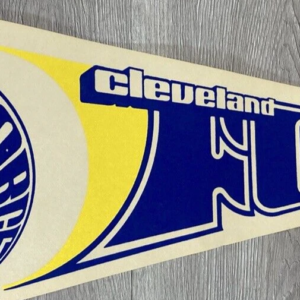 Vintage Force pennant