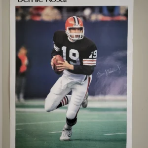 Bernie Kosar SI poster